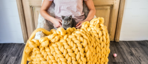 Wool
