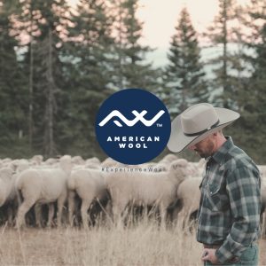 American Wool Council