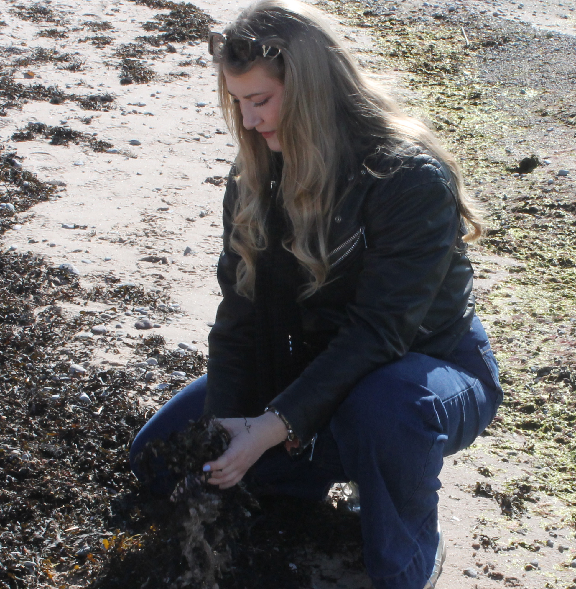 User Evelina profile image