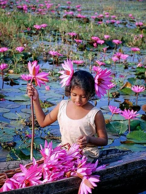 User Alifia profile image