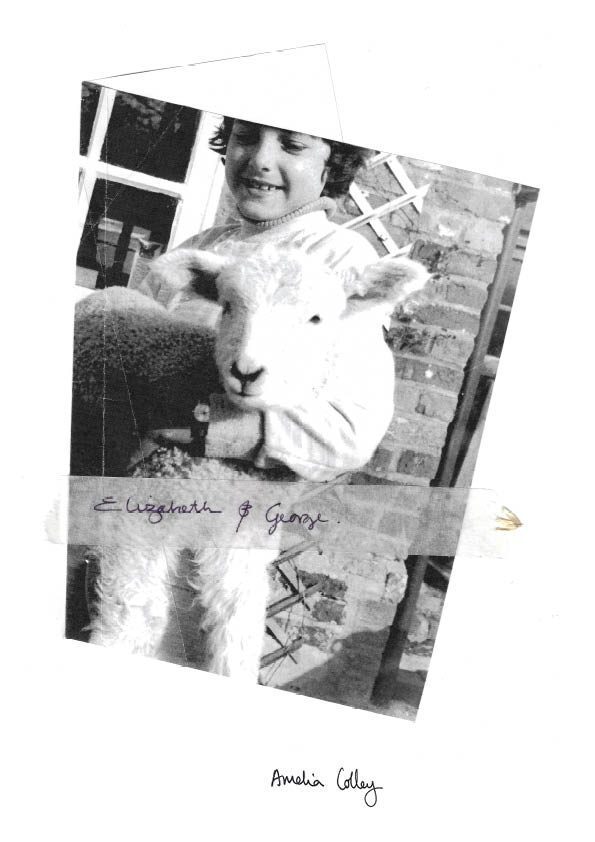 User Amelia project image one