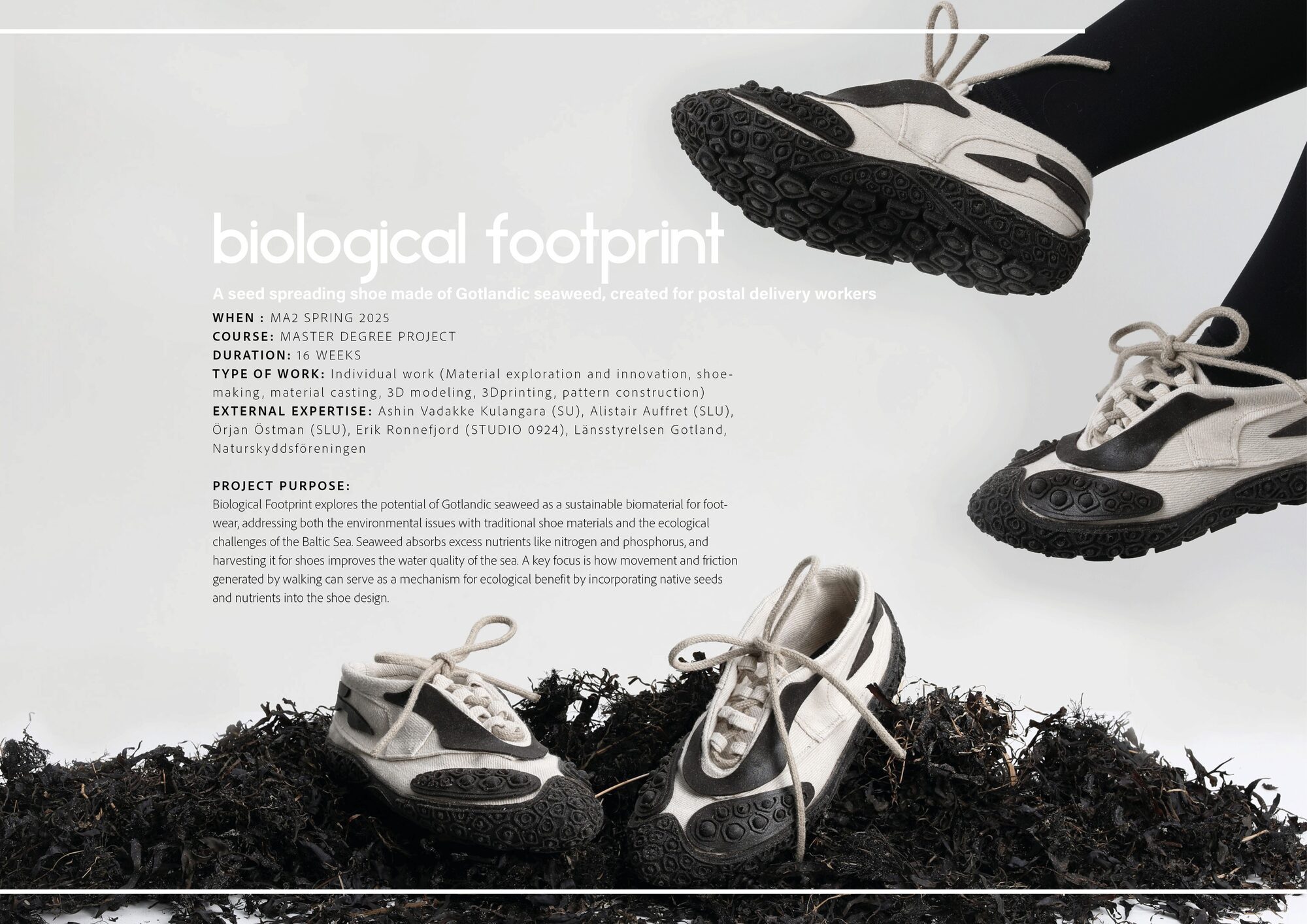 User Evelina project image one