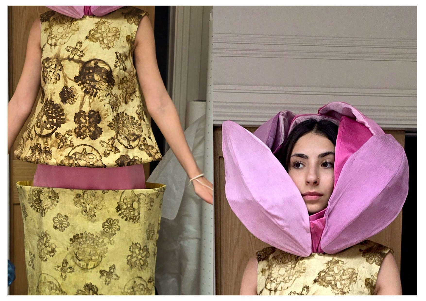 User Alifia project image two