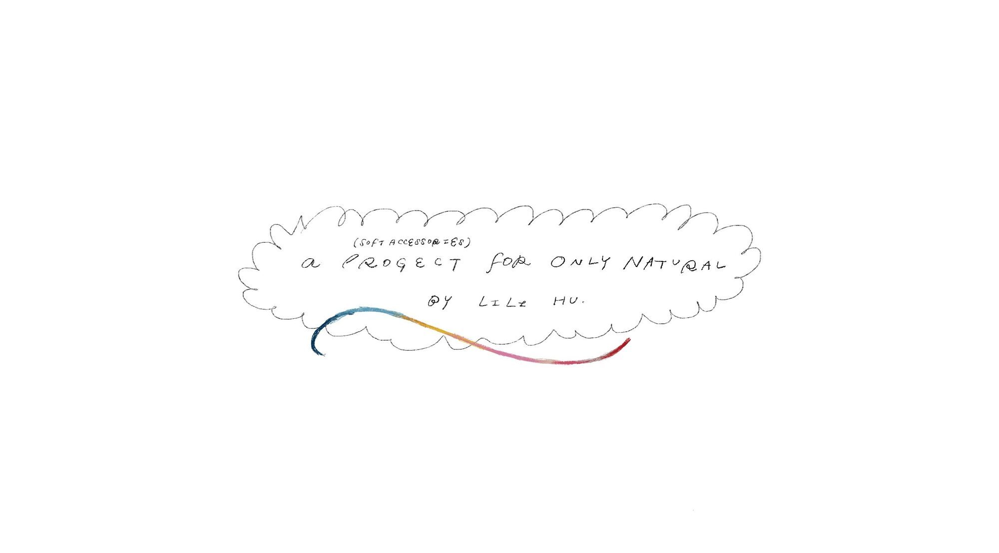 User Lili project image one