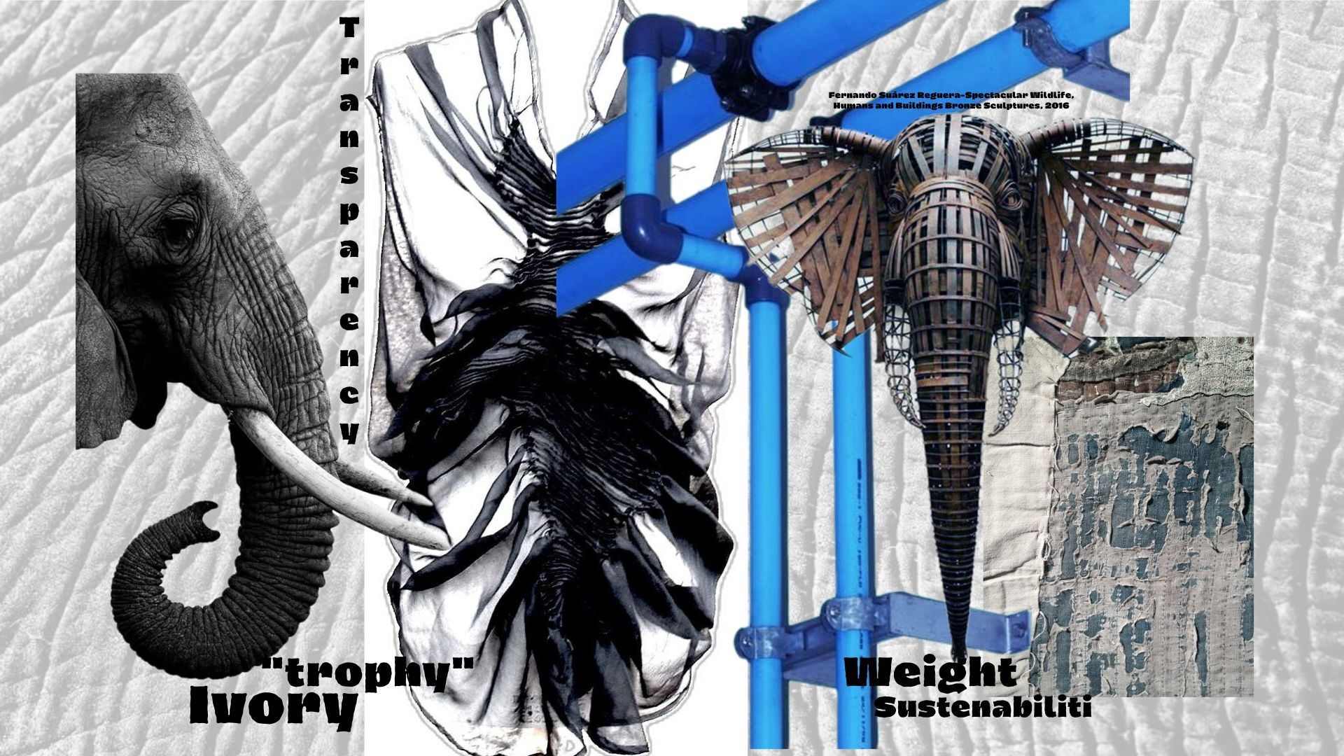 User Andra project image one