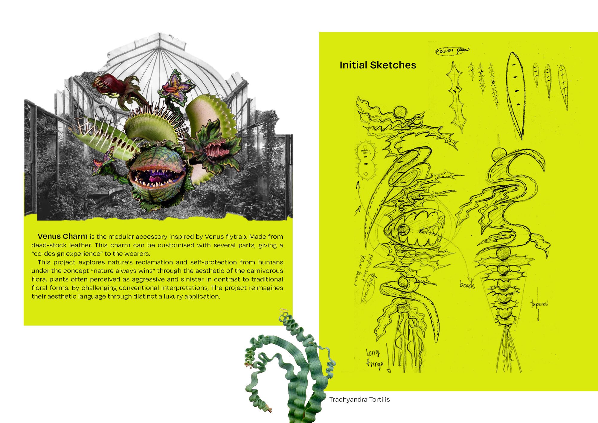 User Teepakorn project image two