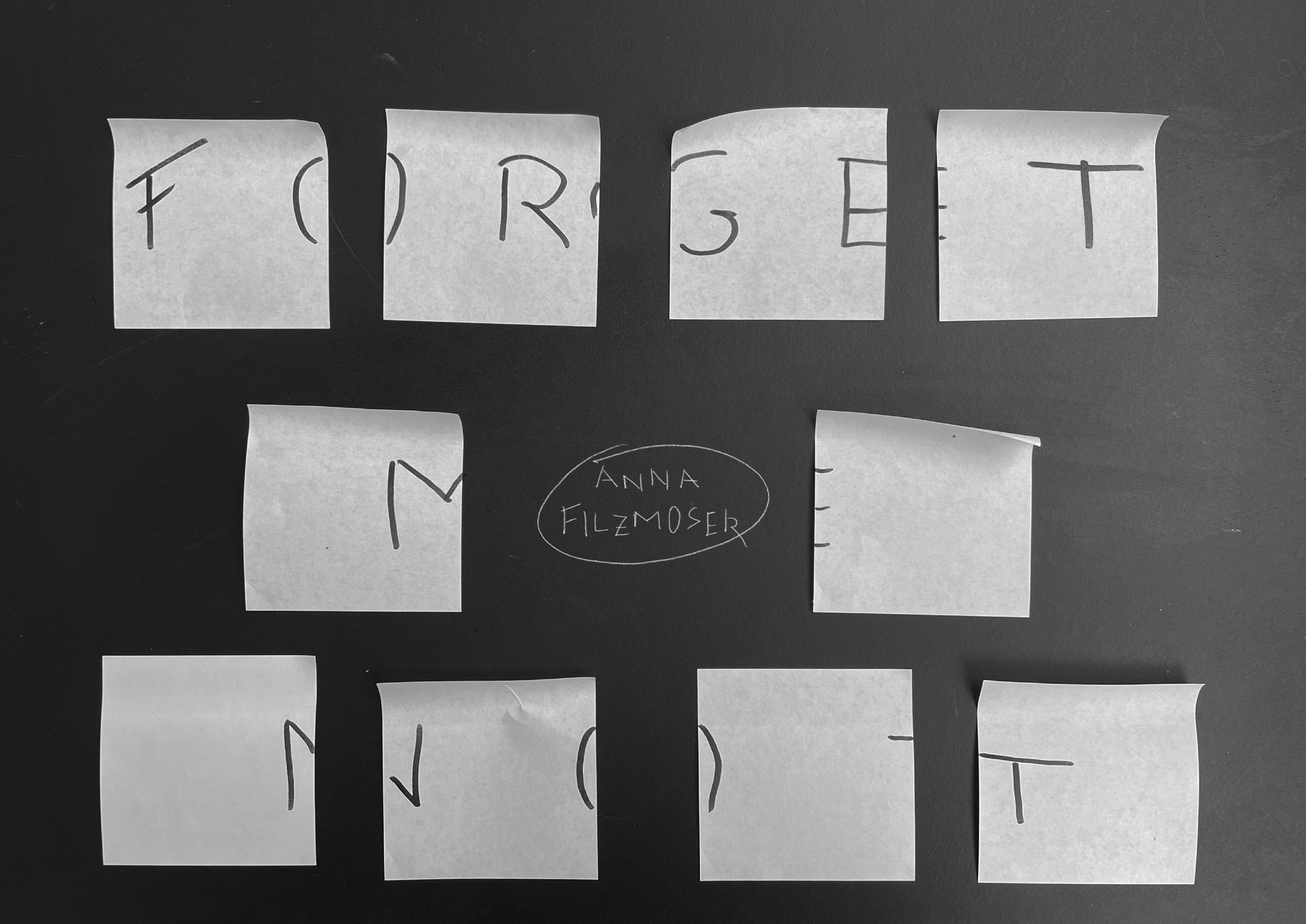 User Anna project image two