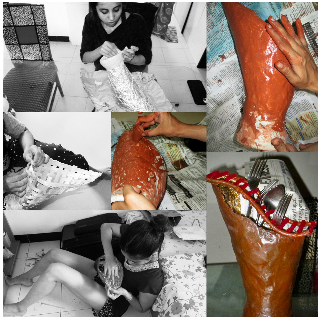 User Saniya project image two